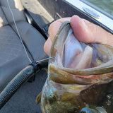 Bass Advantage Super Wacky Hook