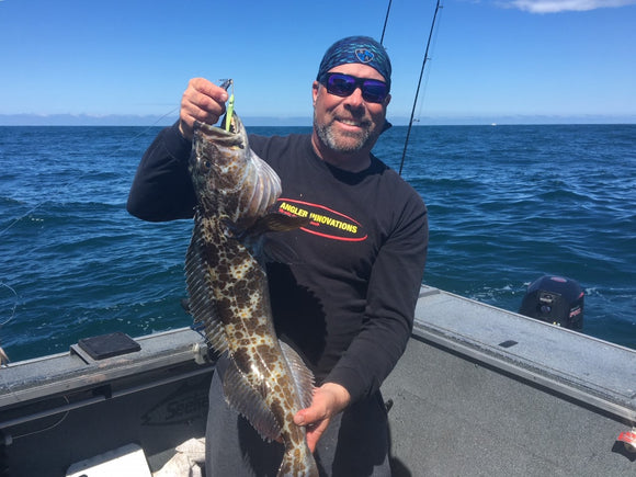 Rockfish, Cod, and Sea Perch