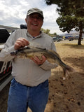 Maruto Barbed Sickle Hook