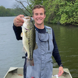 Bass Advantage 7771 Maruto Cutting Point Treble