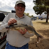 Maruto Barbed Sickle Hook