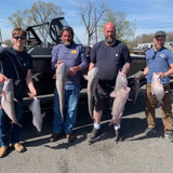 Catfish Advantage Maruto Circle Hooks