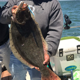 Maruto Barbed Sickle Hook