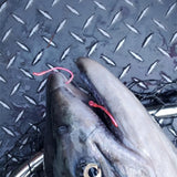 Barbless Grabber Sickle hook in Pink UV