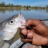 RED Barbed Sickle by Maruto