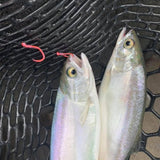 Barbed Maruto Sickle Hook UV Pink