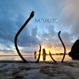 Maruto Barbed Sickle Hook