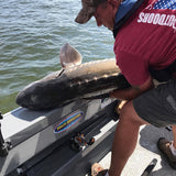 Barbless Circle Hook