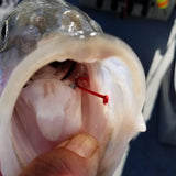 RED Barbed Sickle by Maruto