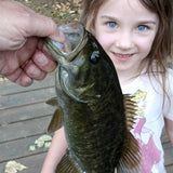 Bass Advantage Drop Shot Hook by Dohitomi & Co. Ltd., of Japan