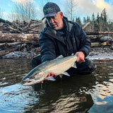 Barbless Grabber Sickle hook in Pink UV