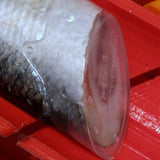 Sure Spin® BAIT CUTTER PRO