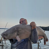 Catfish Advantage Maruto Circle Hooks