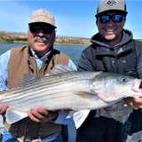 Maruto Barbed Sickle Hook