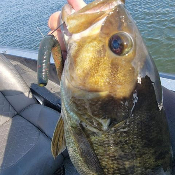 bass fishing hooked Bass Advantage Super Wacky Hook – Angler Innovations