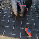 Barbless Grabber Sickle hook in Pink UV