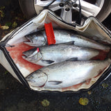 Sure Spin® BAIT CUTTER PRO