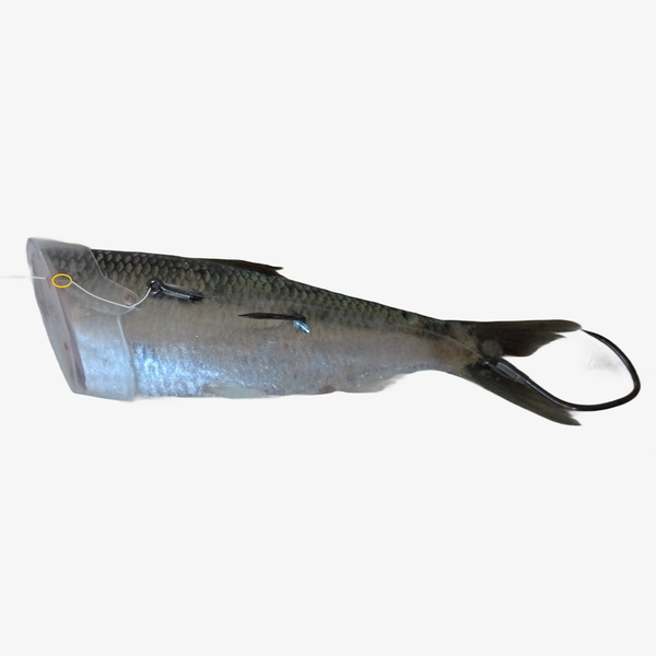 Sure Spin Rigging Kit – Angler Innovations