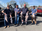 Catfish Advantage Maruto Circle Hooks