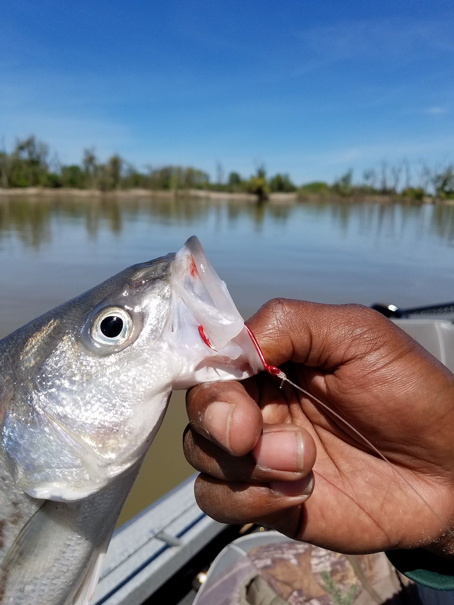 Maruto Barbed Sickle Hook – Angler Innovations