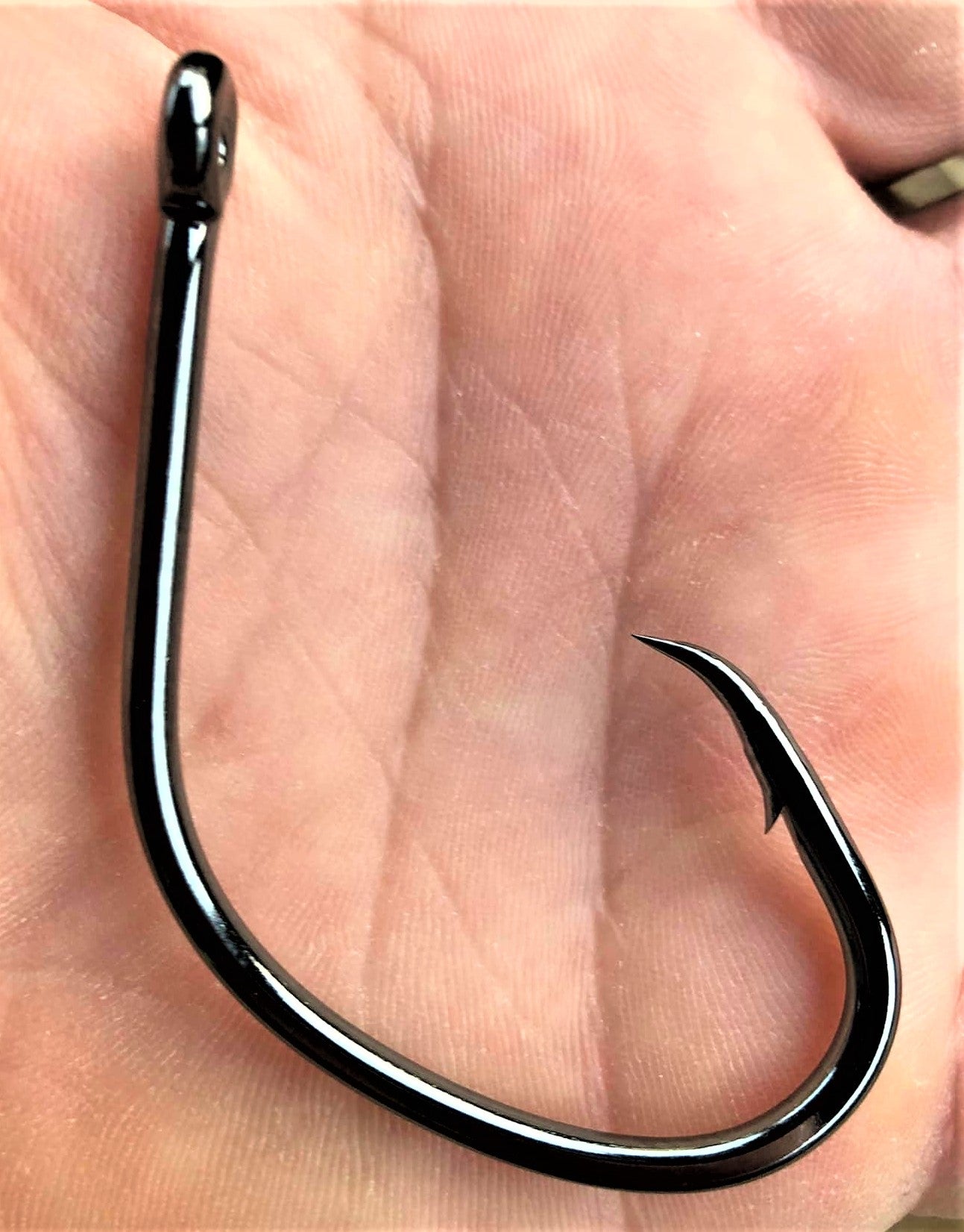 No. 348 Circle Hook – Angler Innovations